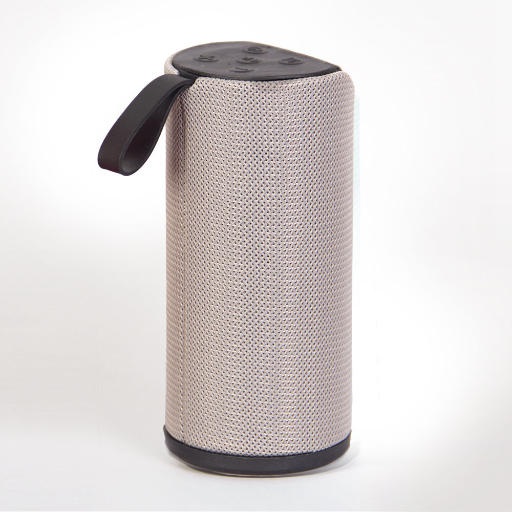 اسپیکر Portable مدل 113